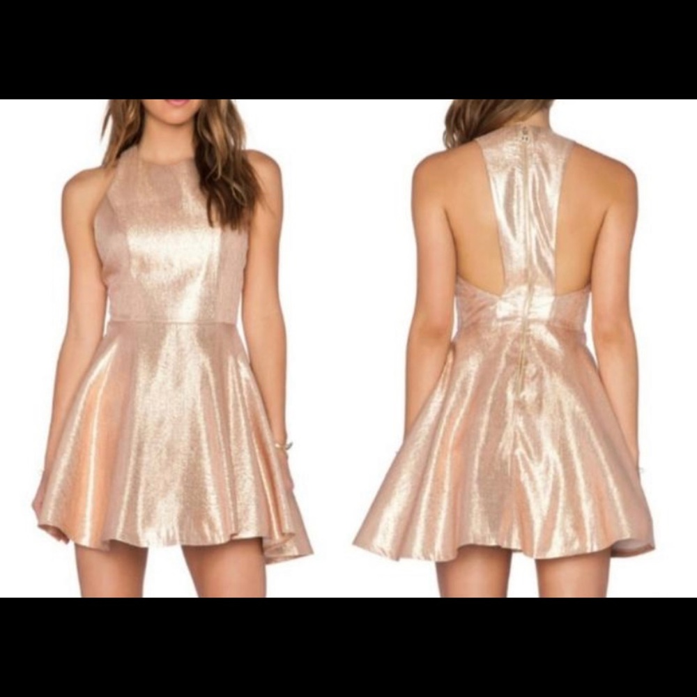 Alice and Olivia Tevin party dress, NWT, size 4